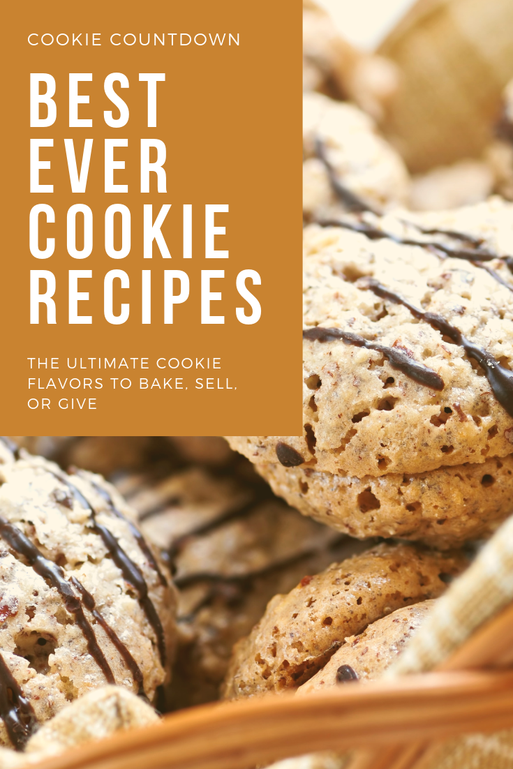 The Best Ever Chocolate Chip Cookies